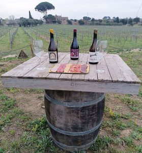 Tast premium Mas Amfres: Un viatge sensorial