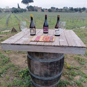 Tast premium Mas Amfres: Un viatge sensorial